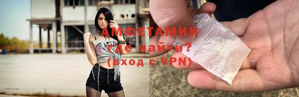 ГАЛЛЮЦИНОГЕННЫЕ ГРИБЫ Аркадак