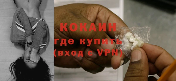 ГАЛЛЮЦИНОГЕННЫЕ ГРИБЫ Аркадак