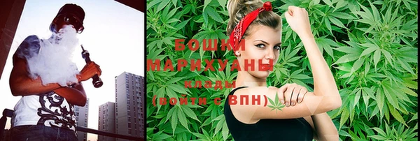 ГАЛЛЮЦИНОГЕННЫЕ ГРИБЫ Аркадак